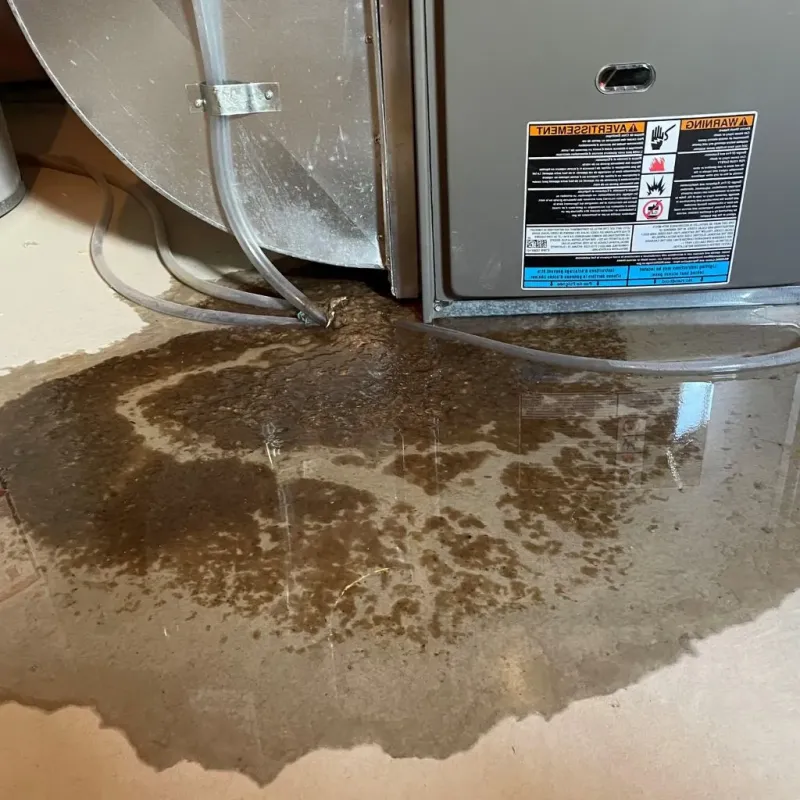 Pipe Burst and Leak Restoration in Winchester, OH