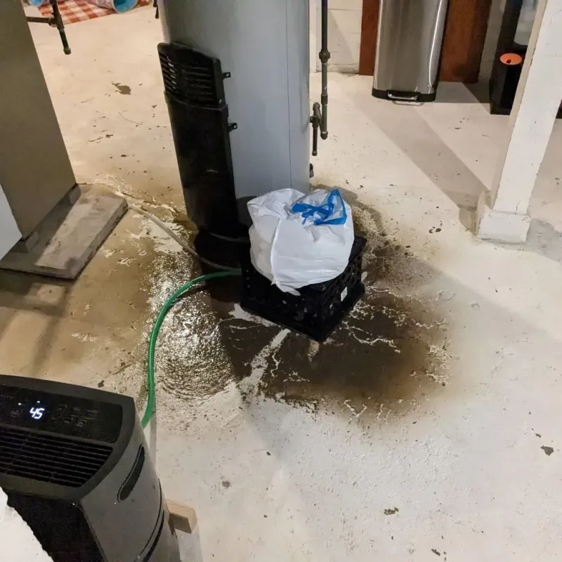 Sewage Backup Cleanup Service in Winchester, OH